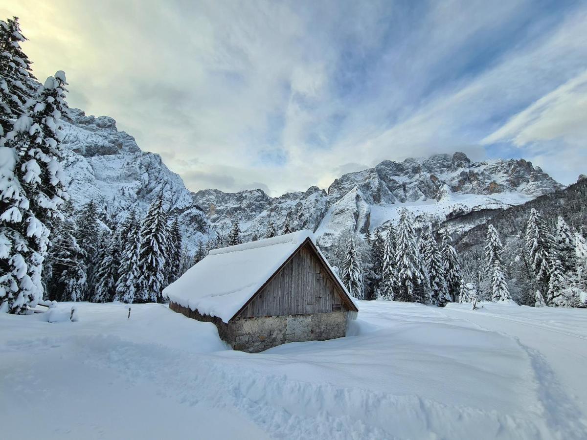 Chalet Camporosso Camporosso  Εξωτερικό φωτογραφία